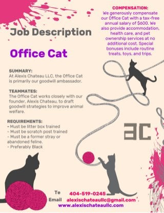 Alexis Chateau LLC Office Cat Job