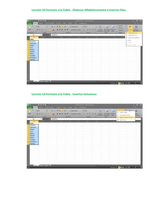 Lección 12 Formato a la Tabla - Ordenar Alfabéticamente e insertar Filas
Lección 13 Formato a la Tabla - Insertar Columnas
 