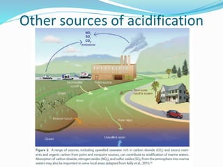 Other sources of acidification
 