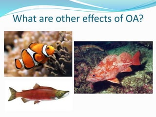 What are other effects of OA?
 