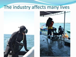 The industry affects many lives
 