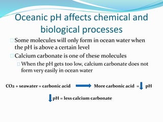 More carbonic acid = pH
Oceanic pH affects chemical and
biological processes
Some molecules will only form in ocean water when
the pH is above a certain level
Calcium carbonate is one of these molecules
When the pH gets too low, calcium carbonate does not
form very easily in ocean water
CO2 + seawater = carbonic acid
pH = less calcium carbonate
 