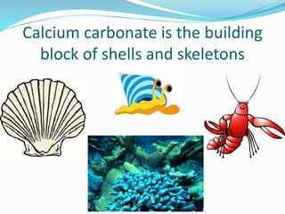 Calcium carbonate is the building
block of shells and skeletons
 