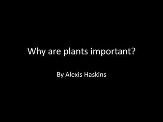 Why are plants important?

      By Alexis Haskins
 