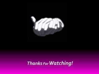 Thanks For Watching!
 