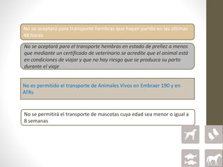 No se puede consolidar un embarque de Animales Vivos con otro tipo de
No se permitirá el transporte de mascotas cuya edad sea menor o igual a
8 semanas
No se aceptará para el transporte hembras en estado de preñez a menos
que mediante un certificado de veterinario se acredite que el animal está
en condiciones de viajar y que no hay riesgo que se produzca su parto
durante el viaje
No se aceptará para transporte hembras que hayan parido en las últimas
48 horas
No es permitido el transporte de Animales Vivos en Embraer 190 y en
ATRs
 
