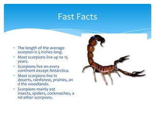 What is a Scorpion?, Habitat, Facts & Types - Video & Lesson Transcript