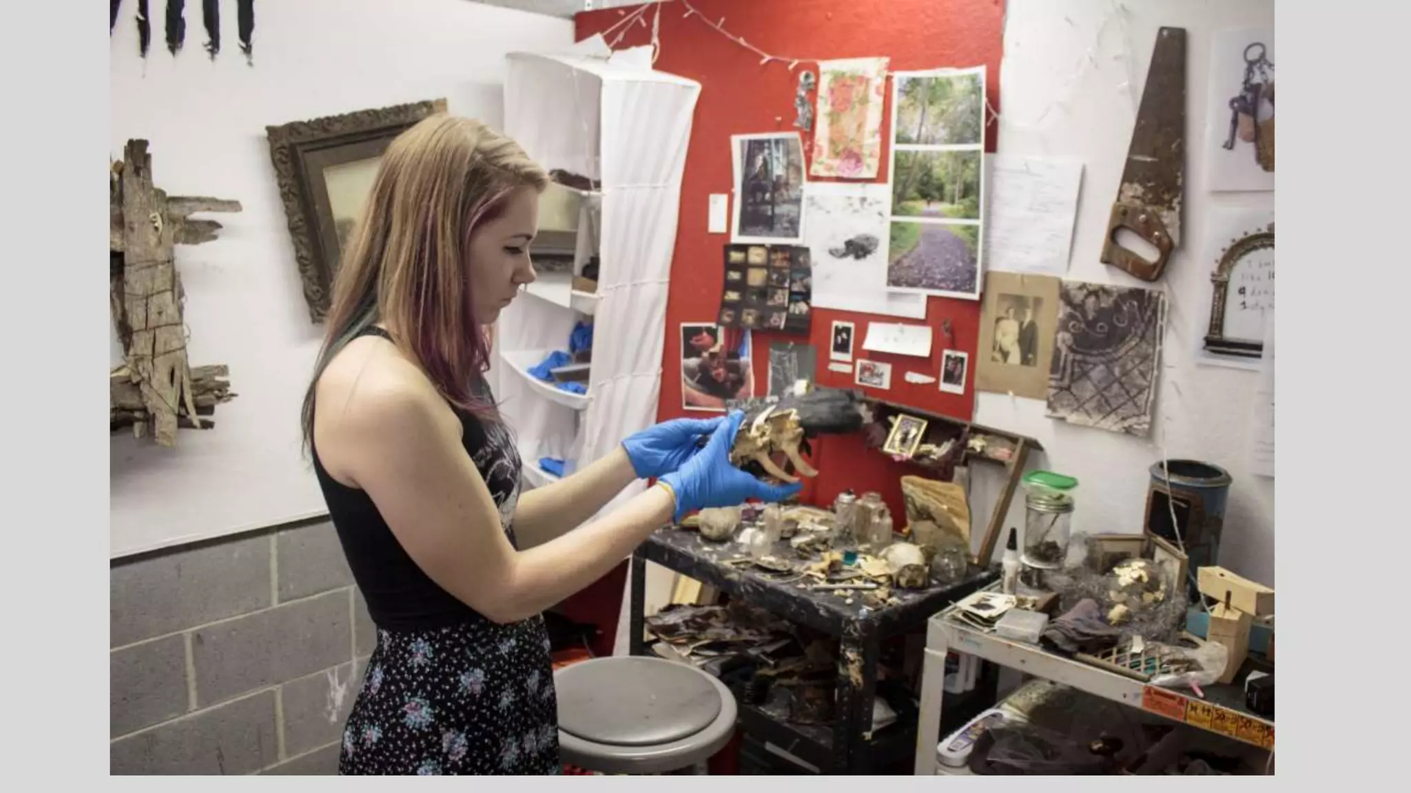 Alexis Supplee's Senior Studio