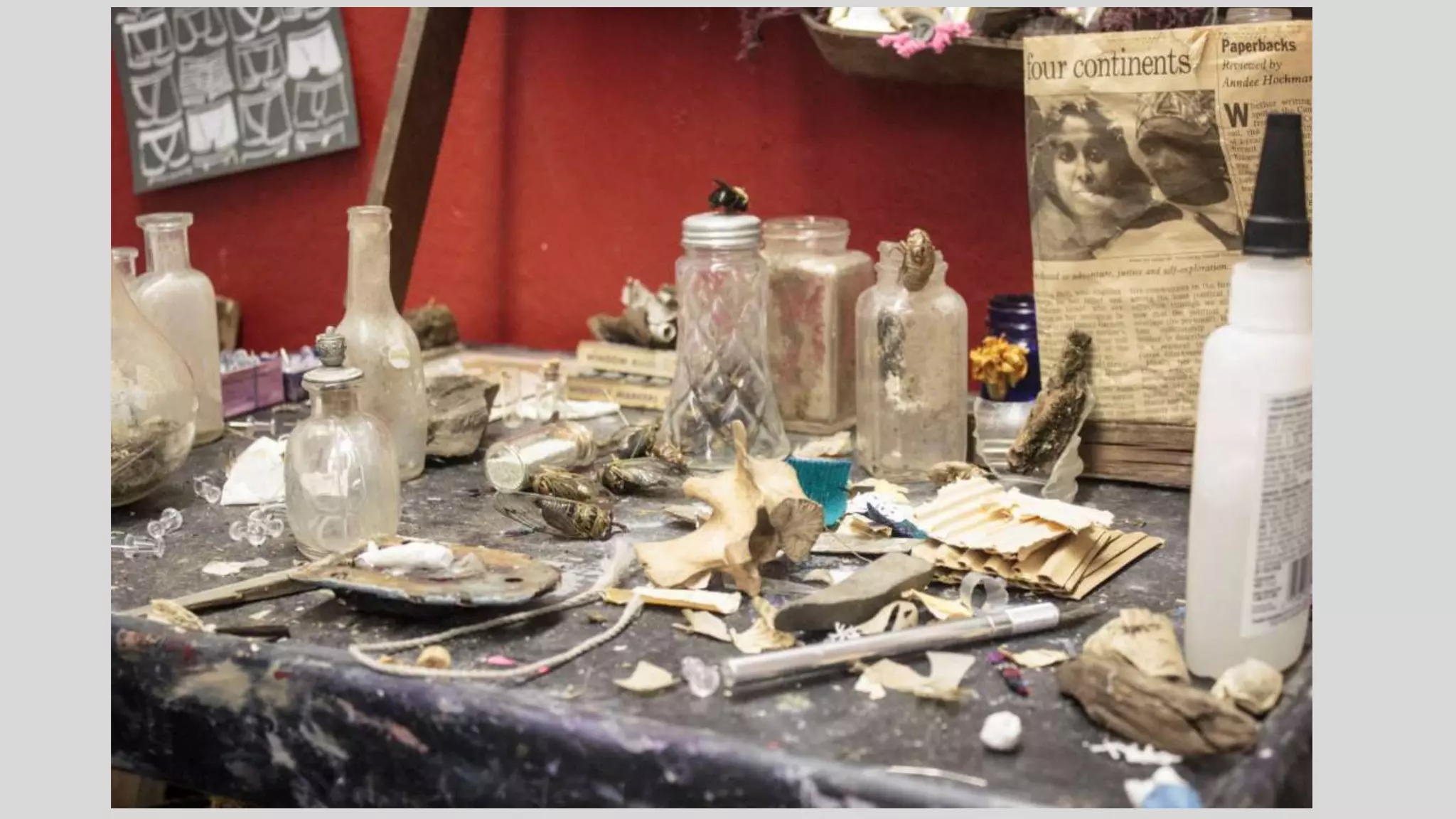 Alexis Supplee's Senior Studio