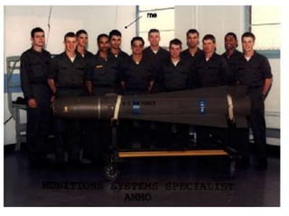 Alexis Terzado US Air Force