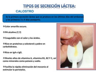 alimentación nutrición y lactancia materna en pediatría | PPTX