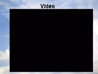 Vídeo 
