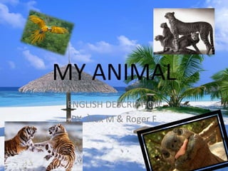 MY ANIMAL 
ENGLISH DESCRIPTION 
BY: Àlex M & Roger F 
 