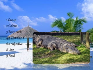 1 Group 
2 Colour 
3 Body parts 
4.5 Can/Can’t 
6.7 Adjective 
8 Live 
9 Food 
 