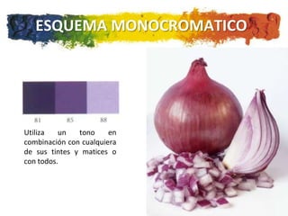 ESQUEMA MONOCROMATICO




Utiliza   un   tono     en
combinación con cualquiera
de sus tintes y matices o
con todos.
 
