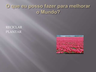 RECICLAR
PLANTAR
 