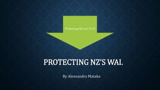 Protecting NZ wai!   
PROTECTING NZ’S WAI. 
By Alexsandra Mataka 
 