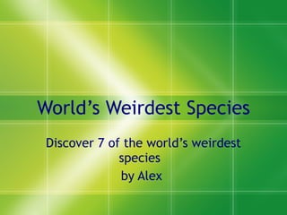 World’s Weirdest Species Discover 7 of the world’s weirdest species  by Alex  