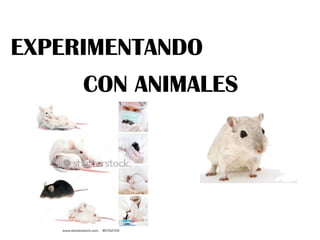 EXPERIMENTANDO
     CON ANIMALES
 
