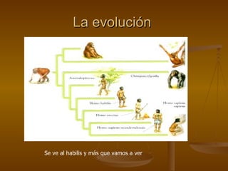La evolución




Se ve al habilis y más que vamos a ver
 