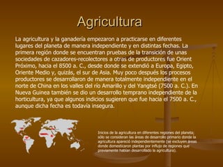 Agricultura
La agricultura y la ganadería empezaron a practicarse en diferentes
lugares del planeta de manera independiente y en distintas fechas. La
primera región donde se encuentran pruebas de la transición de unas
sociedades de cazadores-recolectores a otras de productores fue Orient
Próximo, hacia el 8500 a. C., desde donde se extendió a Europa, Egipto,
Oriente Medio y, quizás, el sur de Asia. Muy poco después los procesos
productores se desarrollaron de manera totalmente independiente en el
norte de China en los valles del río Amarillo y del Yangtsé (7500 a. C.). En
Nueva Guinea también se dio un desarrollo temprano independiente de la
horticultura, ya que algunos indicios sugieren que fue hacia el 7500 a. C.,
aunque dicha fecha es todavía insegura.



                                  Inicios de la agricultura en diferentes regiones del planeta;
                                  sólo se consideran las áreas de desarrollo primario donde la
                                  agricultura apareció independientemente (se excluyen áreas
                                  donde domesticaron plantas por influjo de regiones que
                                  previamente habían desarrollado la agricultura).
 