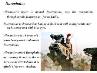 Alexander’s horse is named Bucephalus, was his companion
throughout his journeys as far as India. 
Bucephalus is described as having a black coat with a large white star
on his brow and with blue eyes.
Alexander was 14 years old
when he acquired and tamed
Bucephalus.
Alexander tamed Bucephalus ,
by turning it towards the sun
because he detected that it is
afraid of its own shadow.
Bucephalus
 