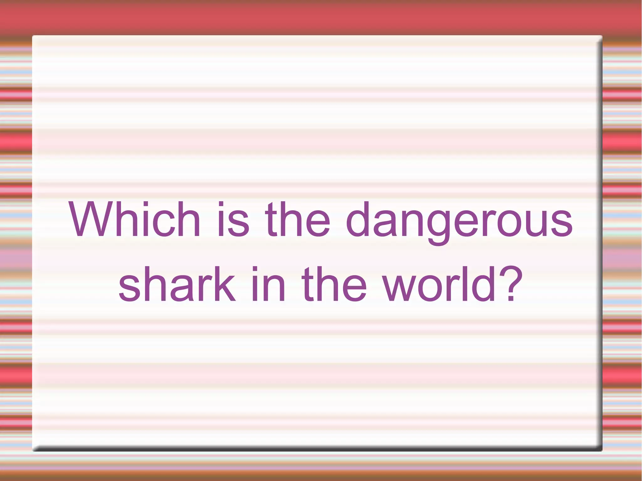 Which is the dangerous
shark in the world?
 