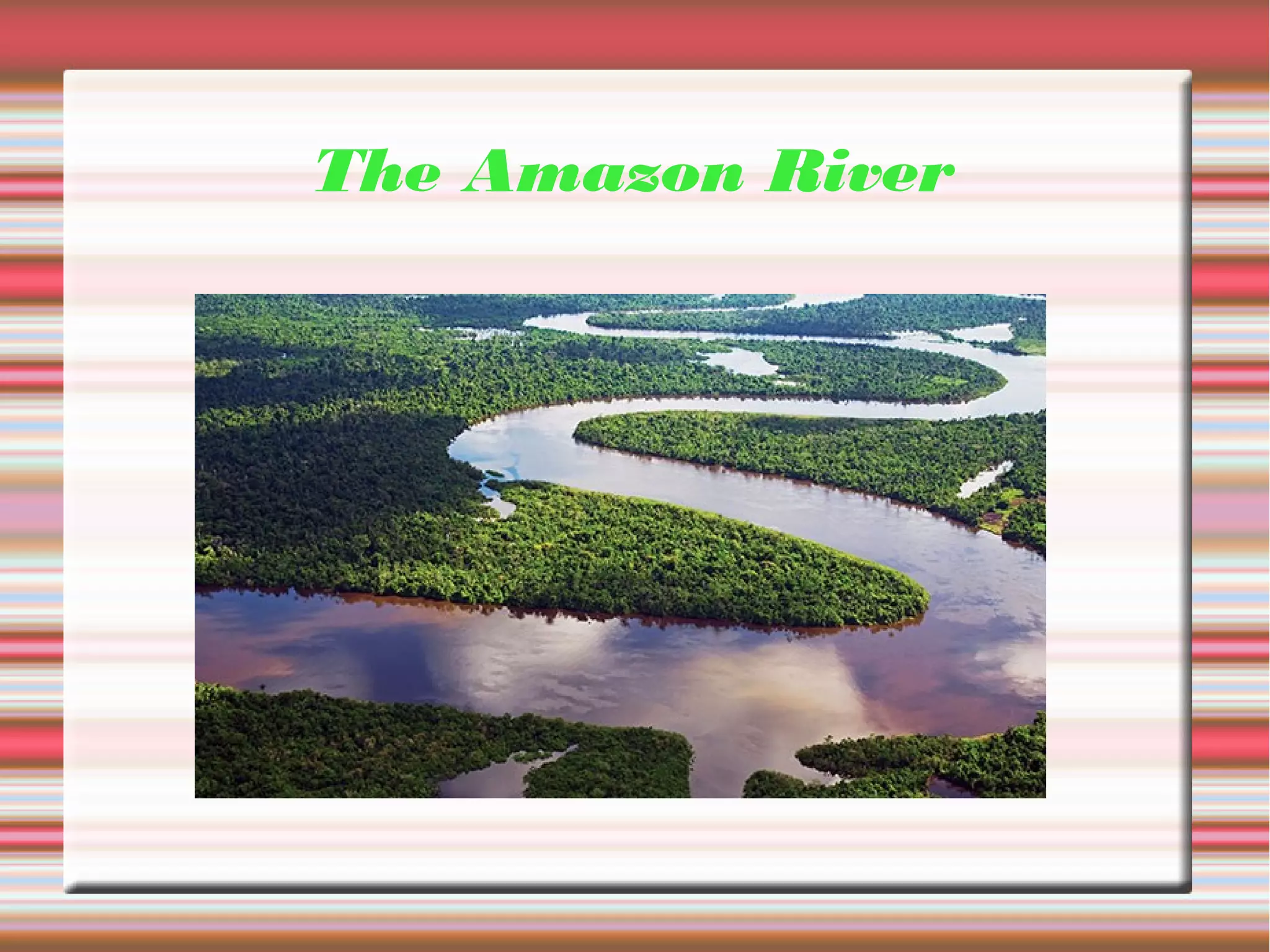 The Amazon River
 