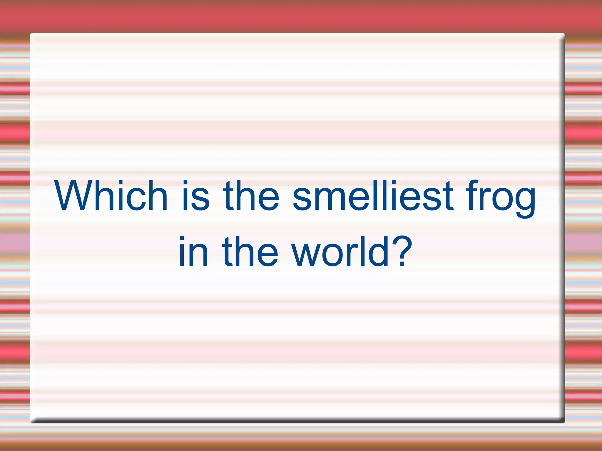 Which is the smelliest frog
in the world?
 