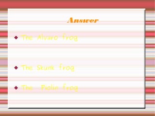 Answer
 The Alvaro frog
 The Skunk frog
 The Piolin frog
 
