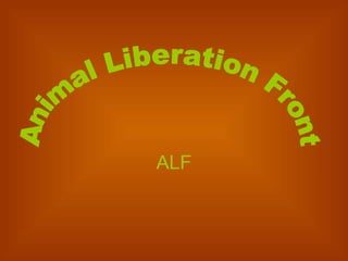 ALF Animal Liberation Front  