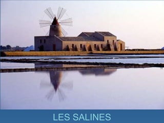LES SALINES 