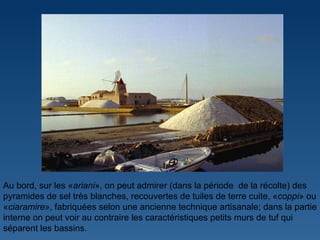 Au bord, sur les « ariani », on peut admirer (dans la période  de la récolte) des pyramides de sel très blanches, recouvertes de tuiles de terre cuite, « coppi » ou « ciaramire », fabriquées selon une ancienne technique artisanale; dans la partie interne on peut voir au contraire les caractéristiques petits murs de tuf qui séparent les bassins. 