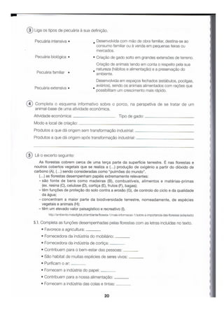ALFA-4º ANO-FICHAS DE CONSOLIDAÇÃO-2.pdf