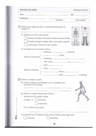 ALFA-4º ANO-FICHAS DE CONSOLIDAÇÃO-2.pdf
