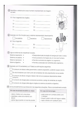 ALFA-4º ANO-FICHAS DE CONSOLIDAÇÃO-2.pdf
