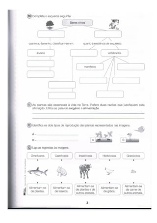 ALFA-4º ANO-FICHAS DE CONSOLIDAÇÃO-2.pdf