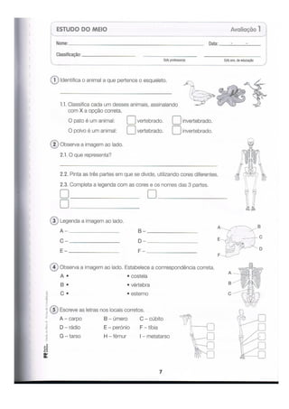 ALFA-4º ANO-FICHAS DE CONSOLIDAÇÃO-2.pdf