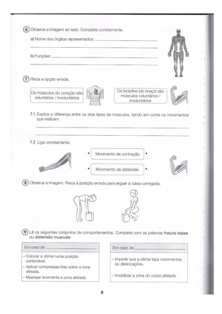 ALFA-4º ANO-FICHAS DE CONSOLIDAÇÃO-2.pdf