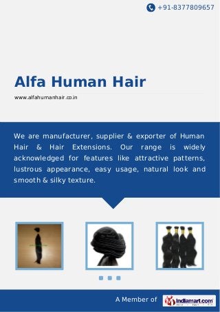 +91-8377809657
A Member of
Alfa Human Hair
www.alfahumanhair.co.in
We are manufacturer, supplier & exporter of Human
Hair & Hair Extensions. Our range is widely
acknowledged for features like attractive patterns,
lustrous appearance, easy usage, natural look and
smooth & silky texture.
 