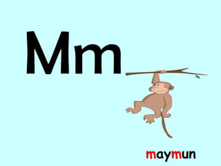 Mm m ay m un 
