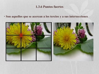 1.3.6 Puntos fuertes
• Son aquellos que se acercan a los tercios y a sus intersecciones
 