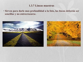 1.3.7 Líneas maestras
• Sirven para darle mas profundidad a la foto, las líneas deberán ser
sencillas y no entrecruzarse.
 