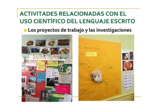 ACTIVITADES RELACIONADAS CON EL 
USO CIENTÍFICO DEL LENGUAJE ESCRITO
Los proyectos de trabajo y las investigaciones
 