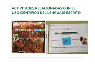 ACTIVITADES RELACIONADAS CON EL 
USO CIENTÍFICO DEL LENGUAJE ESCRITO
 