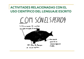 ACTIVITADES RELACIONADAS CON EL 
USO CIENTÍFICO DEL LENGUAJE ESCRITO
 