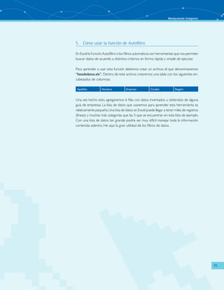 Manipulando Imágenes
25
5.	 Cómo usar la función de Autofiltro
En Excel la FunciónAutofiltro o los filtros automáticos son herramientas que nos permiten
buscar datos de acuerdo a distintos criterios en forma rápida y simple de ejecutar.
Para aprender a usar esta función debemos crear un archivo, el que denominaremos
“listadedatos.xls”. Dentro de este archivo crearemos una tabla con los siguientes en-
cabezados de columnas:
Una vez hecho esto, agregaremos 6 filas con datos inventados u obtenidos de alguna
guía de empresas. La lista de datos que usaremos para aprender esta herramienta es
relativamente pequeña.Una lista de datos en Excel puede llegar a tener miles de registros
(líneas) y muchas más categorías que las 5 que se encuentran en esta lista de ejemplo.
Con una lista de datos tan grande podría ser muy difícil manejar toda la información
contenida adentro. He aquí la gran utilidad de los filtros de datos.
Apellido Nombre Empresa Ciudad Región
 