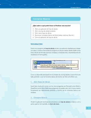 Conceptos Básicos
5
Conceptos Básicos
¿Qué sabré o qué podré hacer al finalizar esta sección?
Abrir una aplicación de hoja de cálculo.•	
Abrir una hoja de cálculo existente.•	
Abrir varias hojas de cálculo.•	
Reconocer conceptos básicos de Excel (celdas, columnas, filas, etc.)•	
Cerrar la aplicación de hoja de cálculo.•	
Introducción
Excel es un programa de hoja de cálculo,es decir,una aplicación diseñada para trabajar
con datos y números.Este poderoso programa es útil para realizar desde simples sumas
hasta cálculos de fórmulas químicas complejas o manipulaciones y representaciones de
estadísticas en forma gráfica.
Como su desarrollo está basado en el concepto de una hoja tabular,o sea en forma de
tabla, aprender a usar las funciones básicas de Excel es tan fácil como llenar una.
1.	 Abrir Hojas de Cálculo
Excel tiene mucho en común con los otros programas de Microsoft como Word y
PowerPoint, entre otros.Todos estos programas se pueden abrir de la misma manera.
Visualmente son relativamente parecidos y muchos de los comandos básicos son
similares.
2.	 Conceptos Básicos
Al abrir la aplicación de Excel, encontraremos una hoja de cálculo en blanco y en la
parte superior de la pantalla, una barra de menú.
 