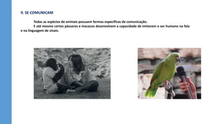 9. SE COMUNICAM
Todas as espécies de animais possuem formas específicas de comunicação.
E até mesmo certos pássaros e macacos desenvolvem a capacidade de imitarem o ser humano na fala
e na linguagem de sinais.
 