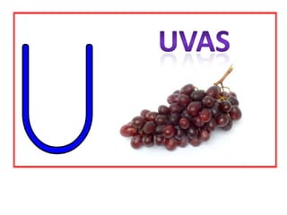 UVAS